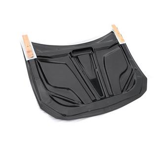 Hood (Carbon) photo 4
