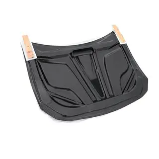Hood (Carbon) photo 4