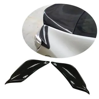 Carbon Rear Fender Covers photo 1
