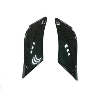 Carbon Rear Fender Covers photo 4