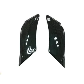 Carbon Rear Fender Covers photo 4