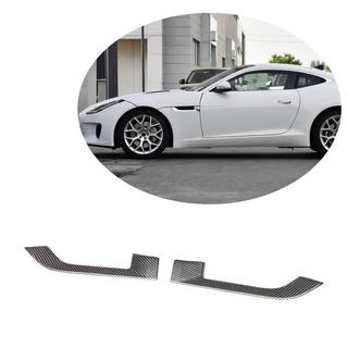 Carbon Front Fender Cover (2013-2016) photo 1