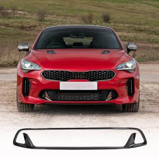 Bumper Grille (Carbon) photo 1