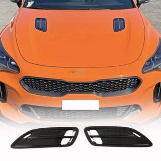 Carbon Hood Covers photo 1