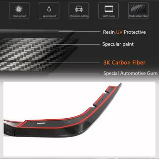 Rear Bumper Diffuser (Carbon) photo 3