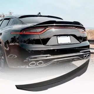 Spoiler V1 (Carbon) photo 1