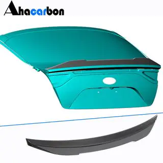 Spoiler V1 (Carbon) photo 2