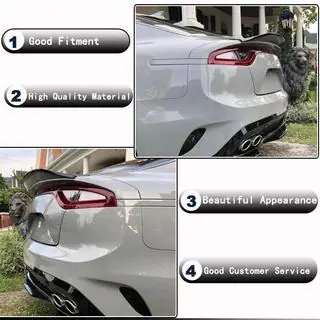 Spoiler V2 (Carbon) photo 3