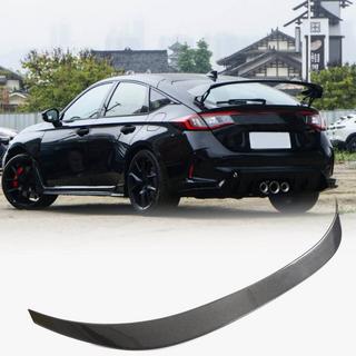 Spoiler (Carbon) photo 1
