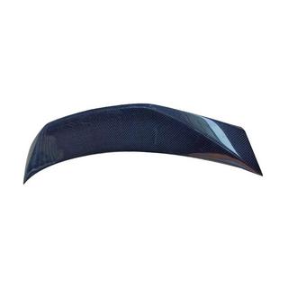 Spoiler (2022+, Carbon) photo 2