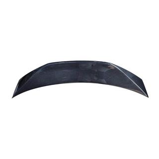 Spoiler (2022+, Carbon) photo 3