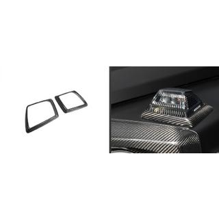Turn Signal Surrounds (Carbon) photo 3