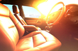 What should you absolutely not leave in a car in the heat? photo 1
