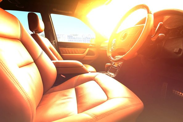 What should you absolutely not leave in a car in the heat?