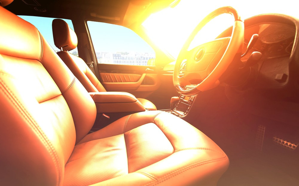 What should you absolutely not leave in a car in the heat?