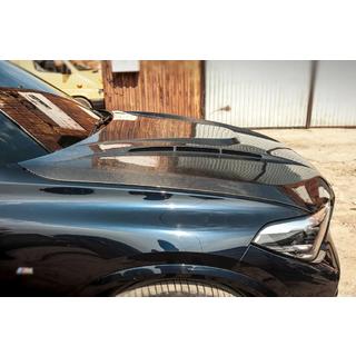 Carbon Hood V1 (G06/F96) photo 2
