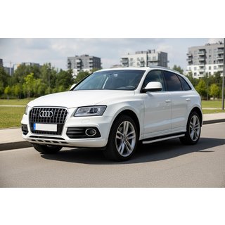 Side Steps Tayga (2 pcs, Aluminum) photo 1