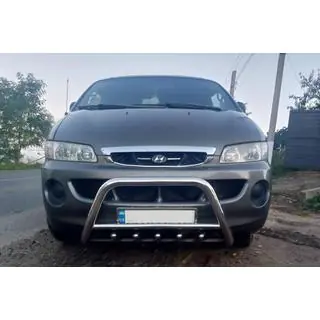 Bull Bar (Stainless Steel)