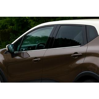 Window Trim Stainless Steel (4 pcs) photo 1