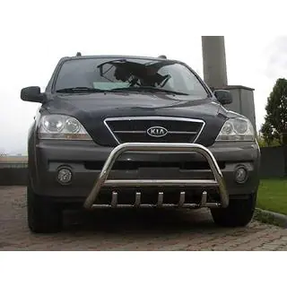 Bull Bar WT003 (Stainless Steel)