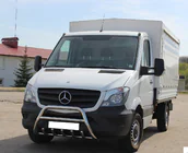 Mercedes Sprinter W906 2006–2018 Bull Bar WT003 (Stainless Steel) photo 7