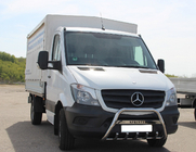 Mercedes Sprinter W906 2006–2018 Bull Bar WT003 (Stainless Steel) 60mm, with lettering photo 1