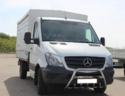 Mercedes Sprinter W906 2006–2018 Bull Bar WT003 (Stainless Steel) photo 1