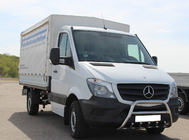 Mercedes Sprinter W906 2006–2018 Bull Bar WT003 (Stainless Steel) 60mm, with lettering photo 9