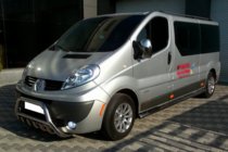 Opel Vivaro 2001–2015 Bull Bar WT003-4 (Stainless Steel) With Inscription photo 11
