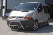 Renault Trafic 2001–2015 Bull Bar WT003-4 (Stainless Steel) With Renault lettering photo 2