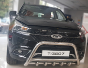 Chery Tiggo 7 2016-2019 Bull Bar WT003 (Stainless Steel) photo 2