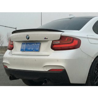 P-Style Spoiler (for F22, Gloss Black) photo 1