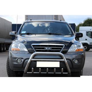 Bull Bar WT003-2 (Stainless Steel) photo 1