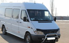 Mercedes Sprinter W901/902/903/904/905 1995–2006 Bull Bar WT003 (Stainless Steel) 2000-2006 photo 3