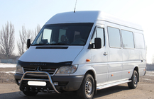 Mercedes Sprinter W901/902/903/904/905 1995–2006 Bull Bar WT003 (Stainless Steel) 2000-2006 photo 4