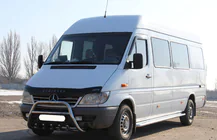 Mercedes Sprinter W901/902/903/904/905 1995–2006 Bull Bar WT003 (Stainless Steel) photo 4