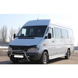 Bull Bar WT003 (Stainless Steel) Mercedes Sprinter W901/902/903/904/905 1995–2006 photo 4