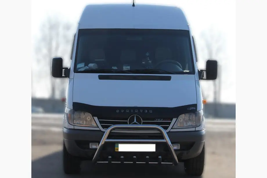Mercedes Sprinter W901/902/903/904/905 1995–2006 Bull Bar WT003 (Stainless Steel) Image