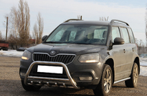 Skoda Yeti 2009-2017 Bull Bar WT003 (Stainless Steel) photo 3