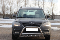 Skoda Yeti 2009-2017 Bull Bar WT003 (Stainless Steel) photo 1
