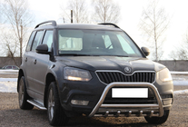 Skoda Yeti 2009-2017 Bull Bar WT003 (Stainless Steel) photo 4
