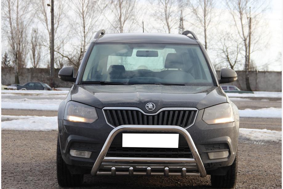 Skoda Yeti 2009-2017 Bull Bar WT003 (Stainless Steel) Image