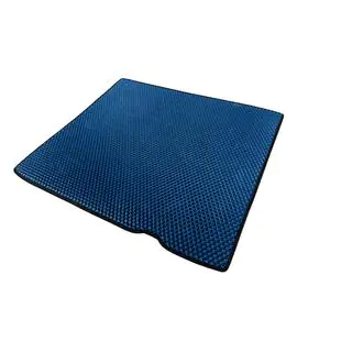 EVA Trunk Mat (Blue) photo 2