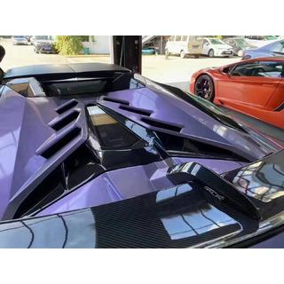 SVJ Carbon Body Kit photo 4