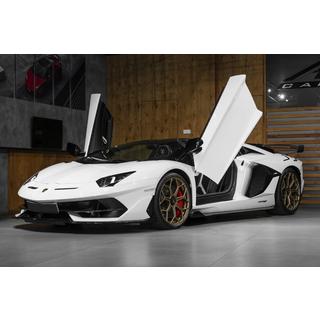 SVJ Carbon Body Kit photo 1
