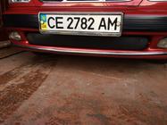 Daewoo Lanos 1998-2017 Winter cover for grille (lower) Matte photo 2