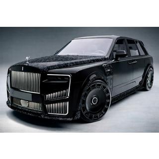 MNSR Carbon Body Kit (for 2024+) photo 2