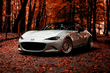 Autumn car care: 5 important rules photo 1