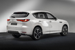 Mazda CX-60: Review of the premium crossover photo 3