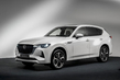 Mazda CX-60: Review of the premium crossover photo 1